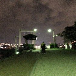 西宮跳ね橋　コアマンVJ-16　3本ゲット